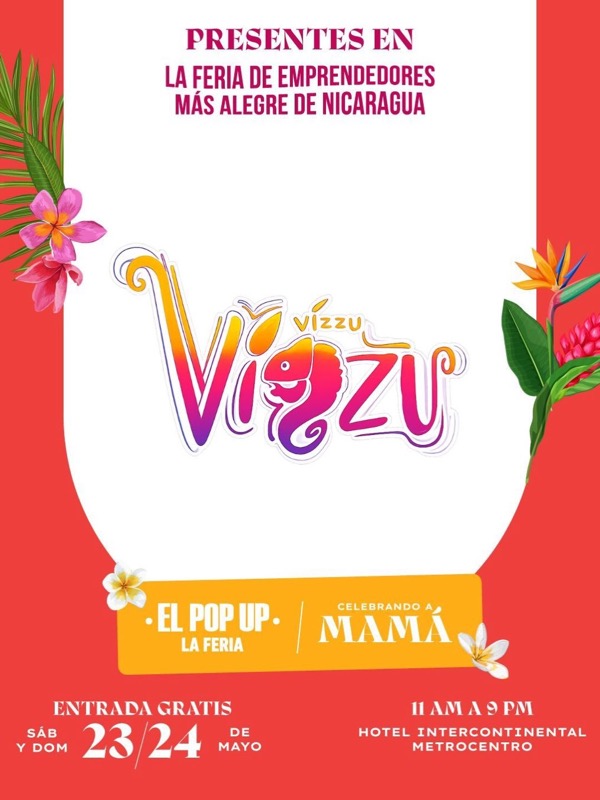 Vizzu 28